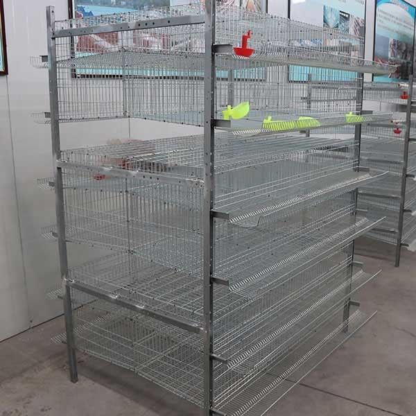 576 Quails Quail Cage H Type 6 Tier Automated Controlled System