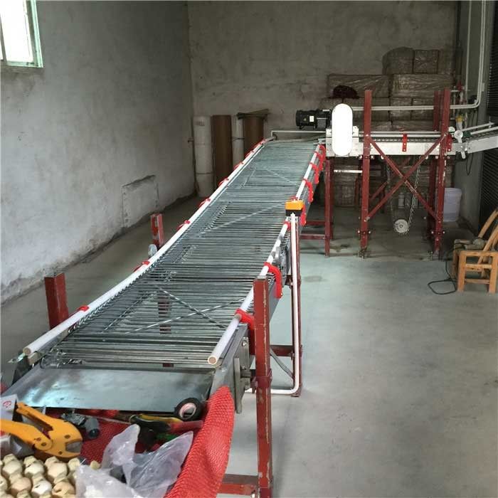 high Farming Efficiency Automatic Egg Collection System Stable running
