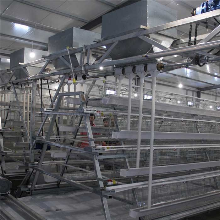 Stable Automatic Chicken Feeder System , Highly Efficient Poultry Feed Machine