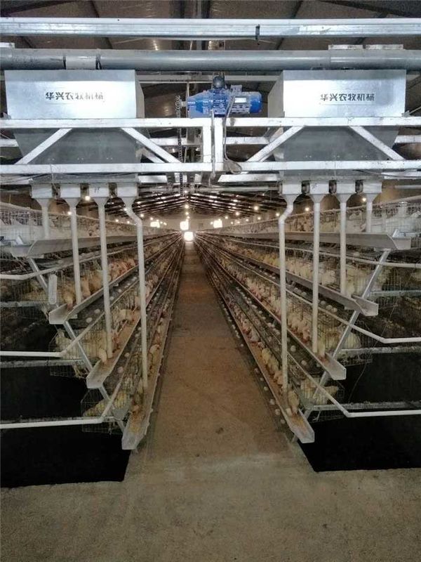 Electrostatic Spray Automatic Poultry Feeder System Fast PE Pipe Conveying