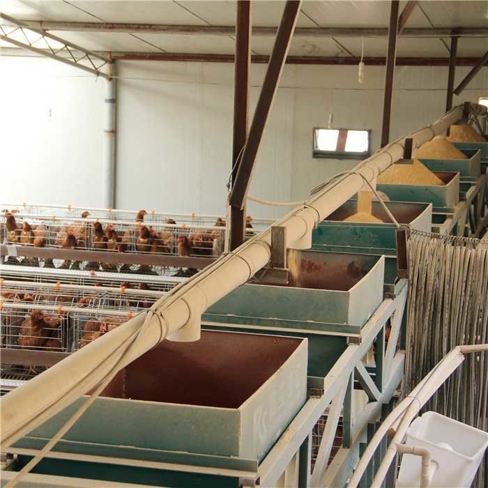 Waterproof Automatic Poultry Feeder System Simple Structure Steady Performance