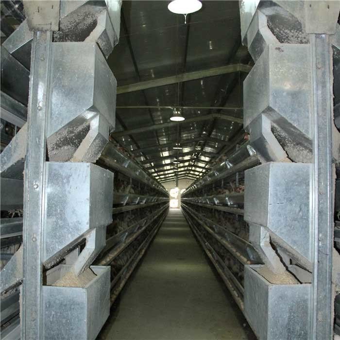Rigid Frame Broiler Farm Equipment Needed For Poultry Farming Heavy Weight
