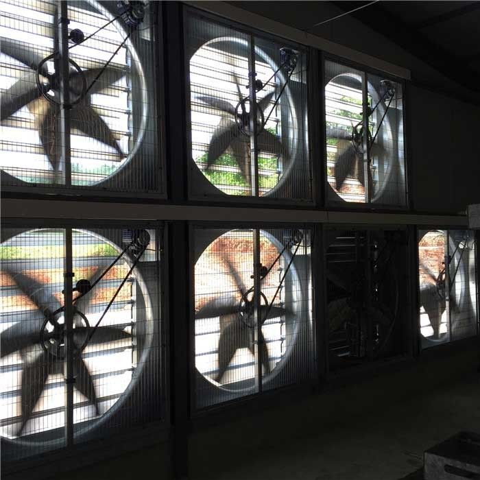 Greenhouse Poultry Shed Cooling System , Environment Control Axial Flow Fan