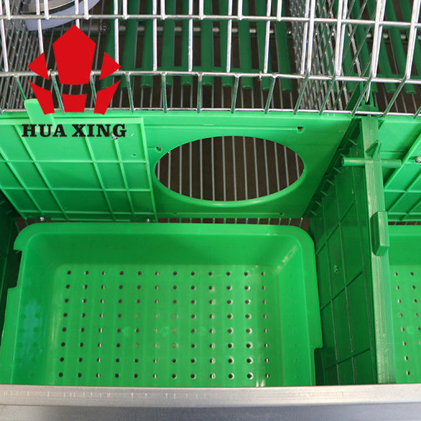 Animal Cage Metal Hot Galvanized Poultry Cage Female Rabbit Farm Breeding Cages In kenya