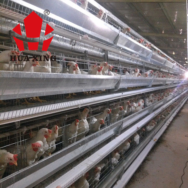 Cage Manufacturer 90 - 160 Birds Hot Galvanized Laying Hen Farming Equipments Layer Chicken Cage