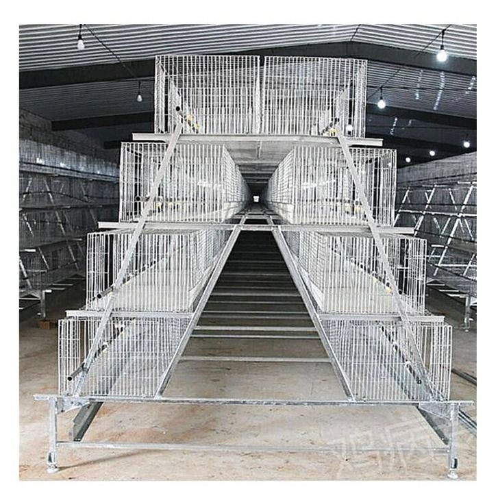 Feeding System 256 Birds Layer Egg Chicken Cage For Laying Hens