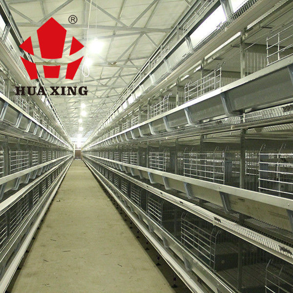 Battery Layer Chicken Cage With Poultry Farming Equipment For Animal Poultry Husbandry Livestock