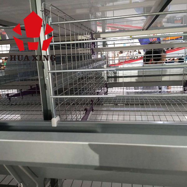 Broiler 96 Birds 3 Tier Layer Cages With Automatic Feeding System