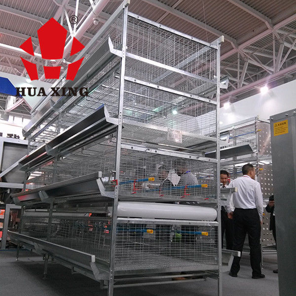 Broiler 96 Birds 3 Tier Layer Cages With Automatic Feeding System