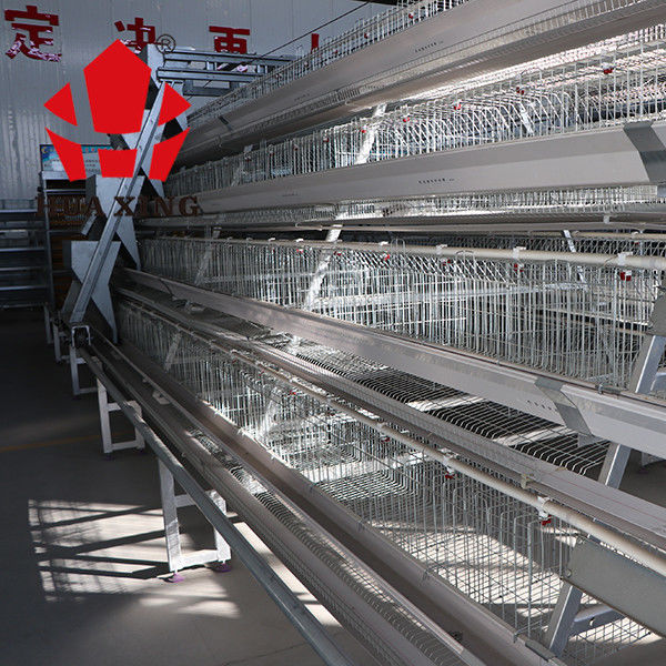 A Type Layer Poultry Battery Cage Design Q235 Hot Dip Galvanized Steel Wire