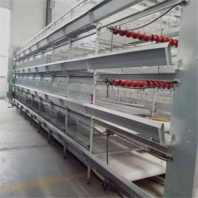 3 Tiers H Type Layer Chicken Cage For Broiler Farm Cold Galvanized