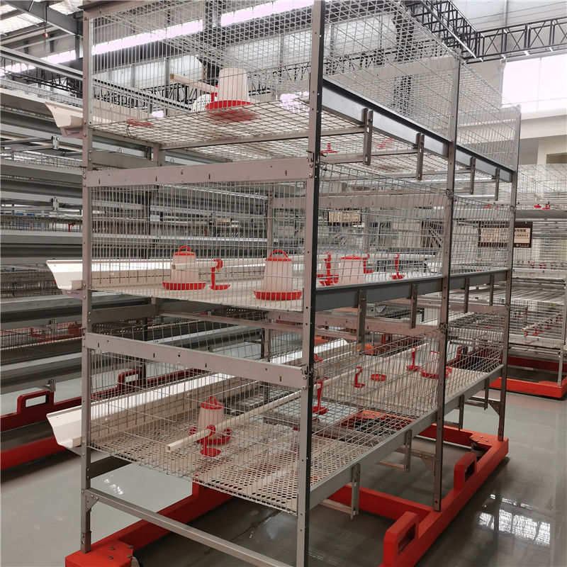 Fireproof 3 Tiers Poultry Battery Cages Farming Poultry Equipment