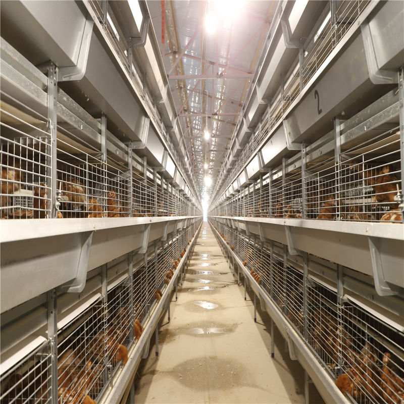 Battery Day Old Chicks Cage Breeding Chicken Cage For Layer Chick