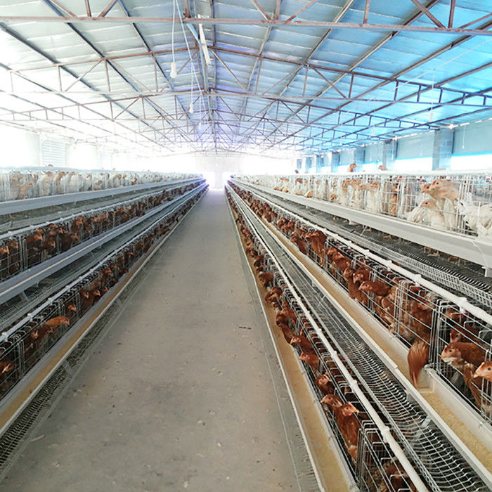 A Type Battery Cage System Layer Chicken Chicken Layer Cage For Sale