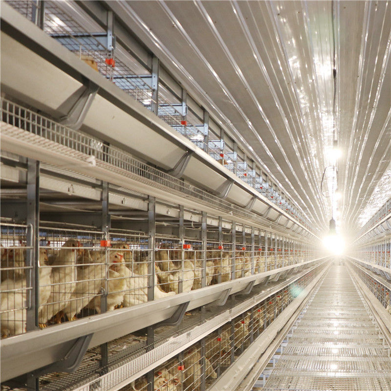 Antirust Egg Layer Chicken Cage with Feeding system drinking system