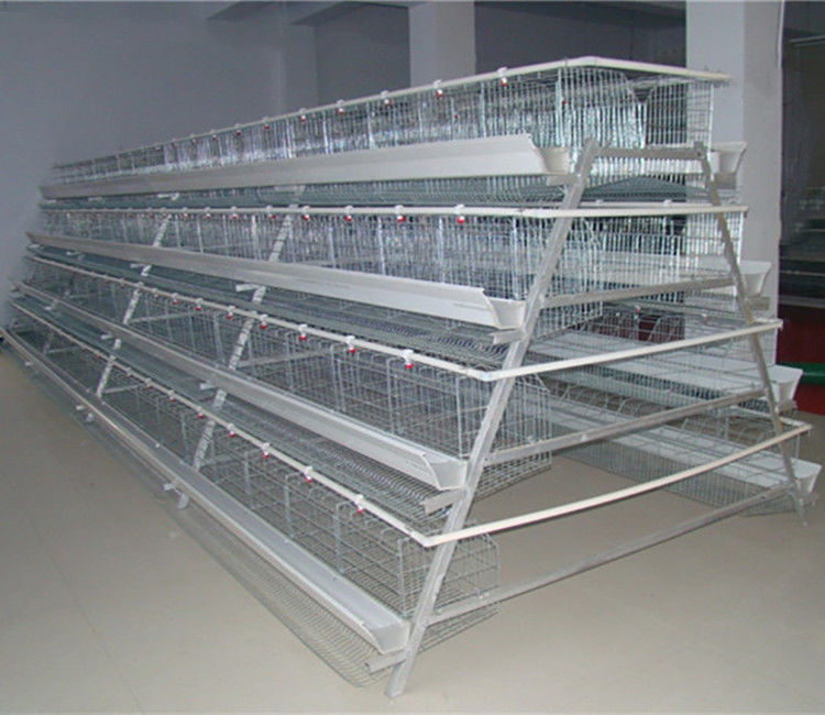 4tiers 128/160birds layer chicken battery poultry cage Commercial chicken poultry cage