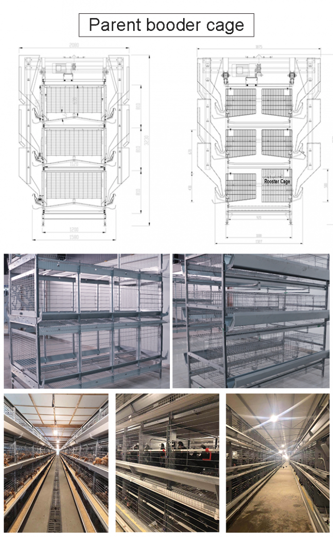 3 Floors Metal Breeding Cages , Comfortable Mesh Wire Cage Space Saving