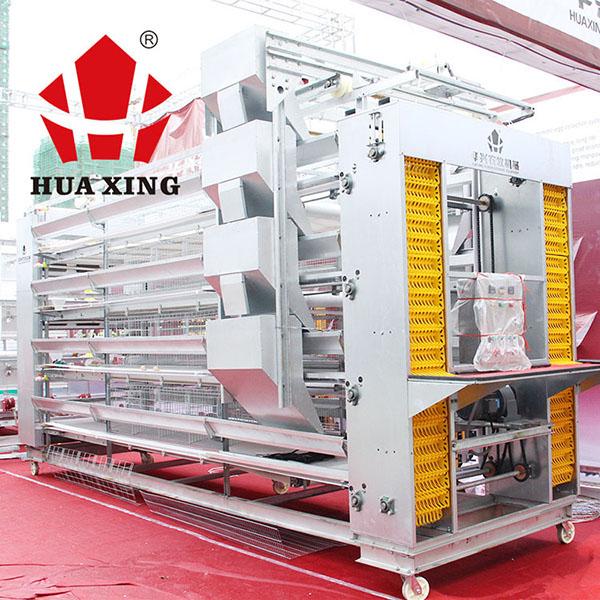 Chicken Layer Automatic Egg Collection System H Type 4 Tier Steel Material