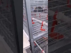 Farm H Type 4 Door Layer Chicken Cage Steel Wire Welding