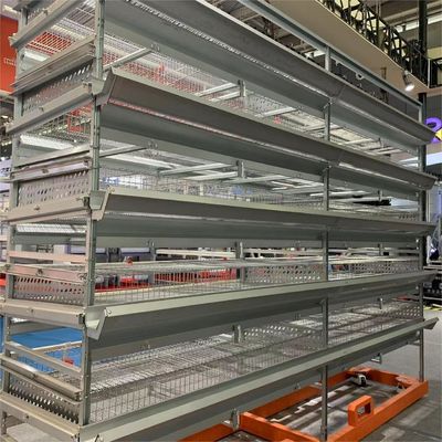Automatic Egg Quail Cage For 6 Tier Cage Capacity 200000 Quail Per Farm