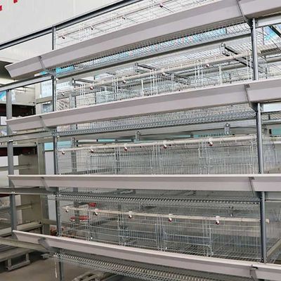 Stable Running Poultry Layer Cage , Automatic Control Chicken Coop Cage